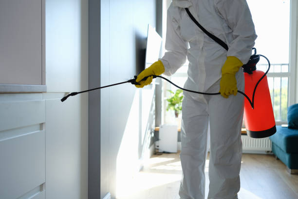 Professional Mold Removal in Dayton, KY